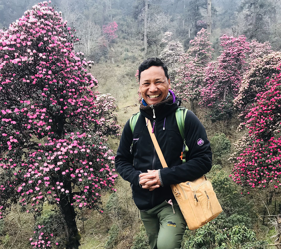 Rhododendrons flowers are my background en route to Pikey peak Trekking In Nepal. 